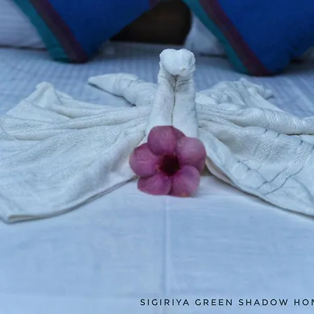 Sigiri Green Shadow Homestay Sigiriya Exterior photo