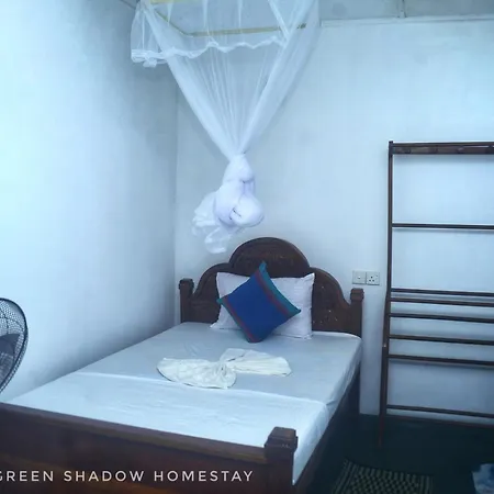 Sigiri Green Shadow Homestay Sigiriya Exterior photo