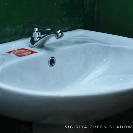 Sigiri Green Shadow Homestay Sigiriya Exterior photo