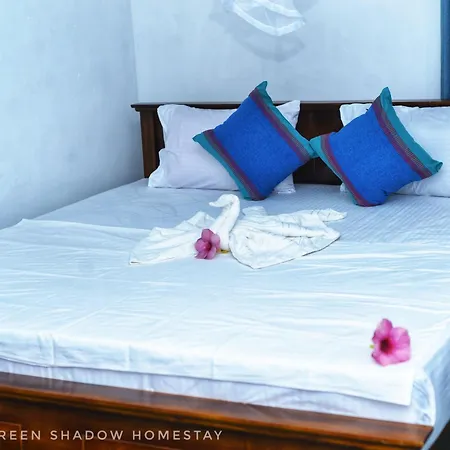Sigiri Green Shadow Homestay Sigiriya Exterior photo