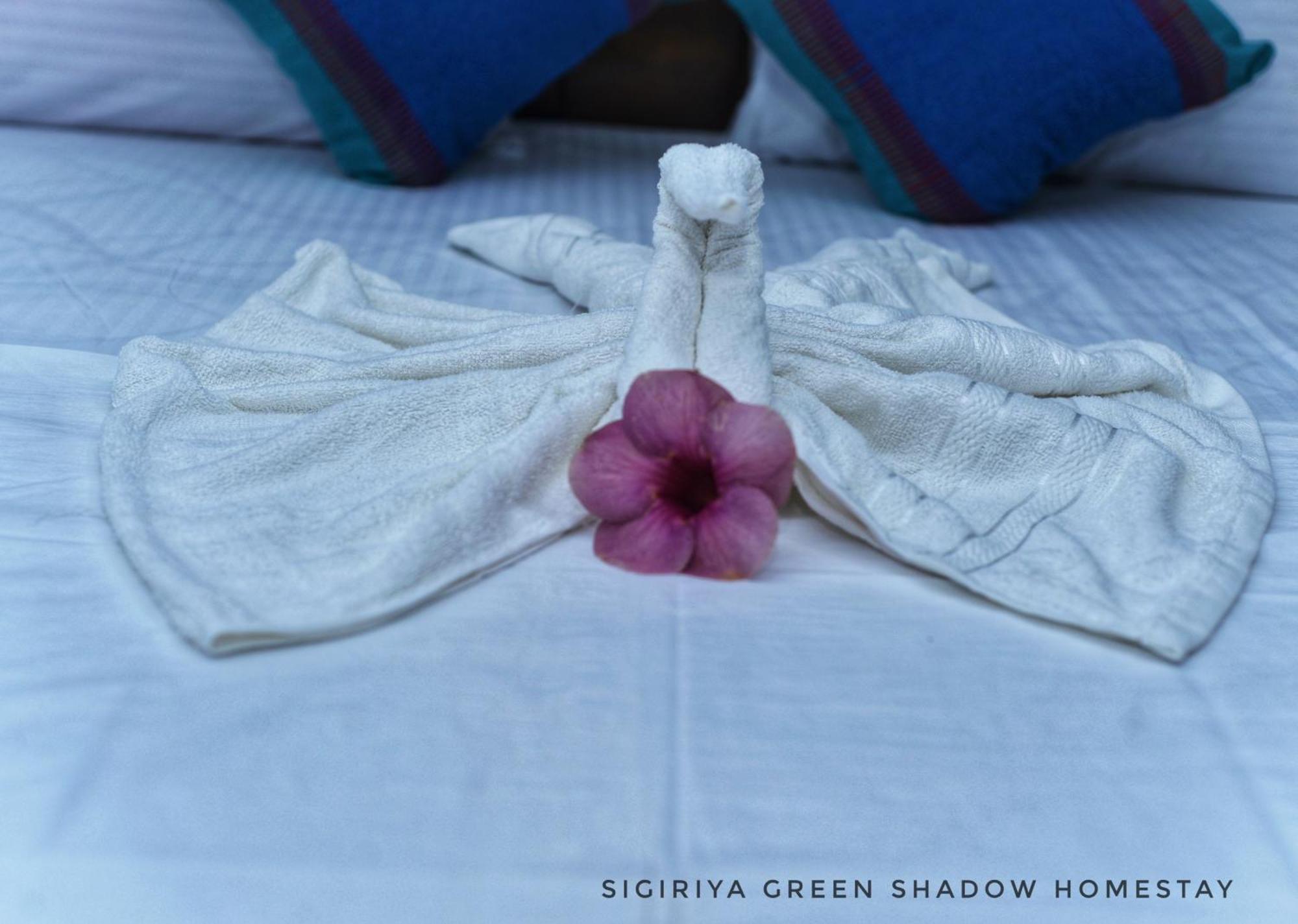 Sigiri Shadow Accommodatie bij particulieren Sigiriya